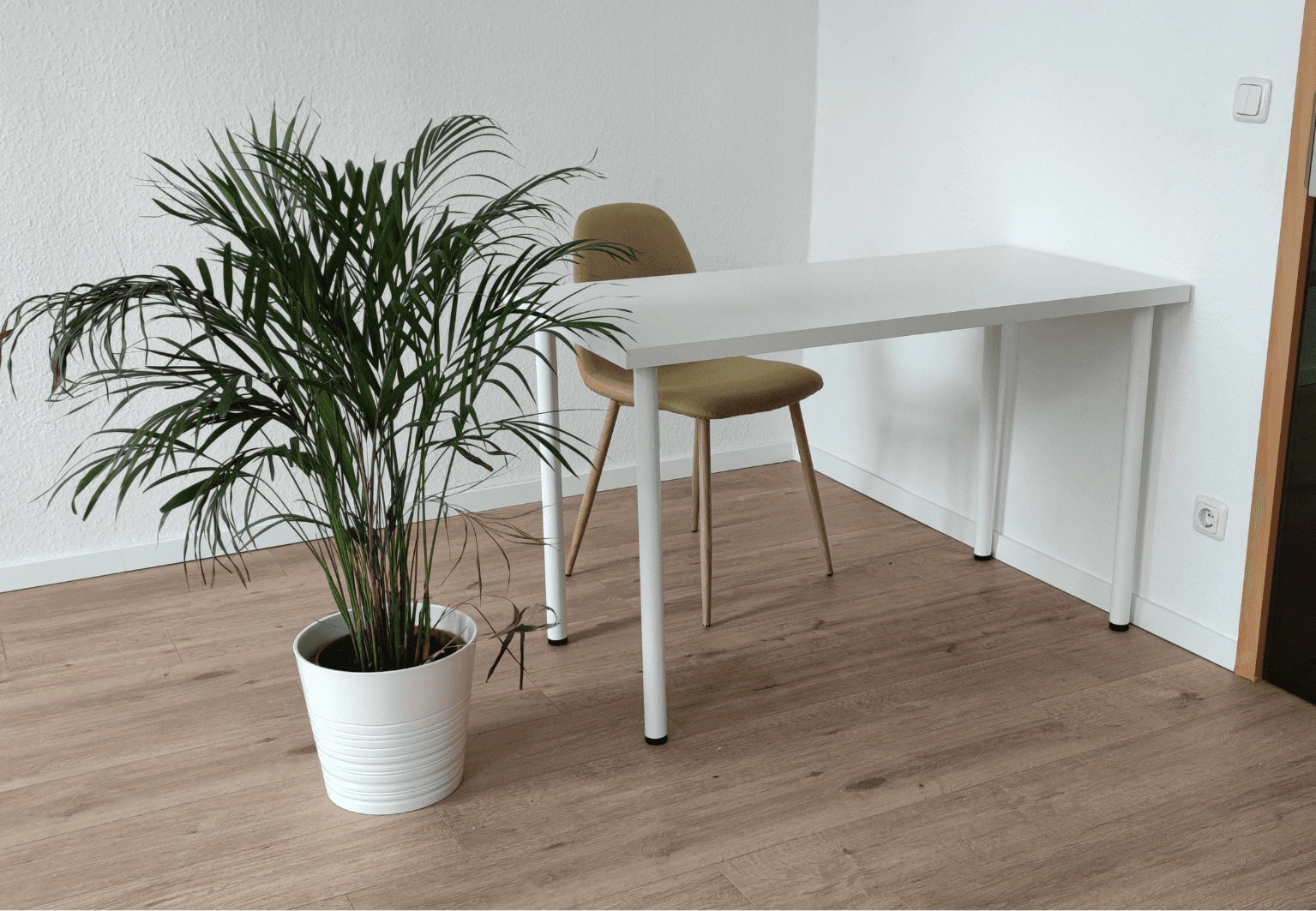office to rent, 250 m², Anger 9, Erfurt, Thuringia office to rent, 250 m², Anger 9, Erfurt, Thuringia