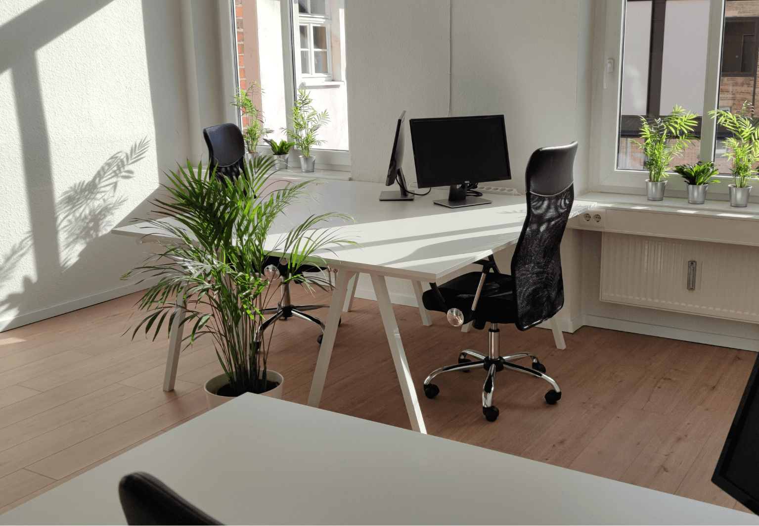 office to rent, 250 m², Anger 9, Erfurt, Thuringia office to rent, 250 m², Anger 9, Erfurt, Thuringia