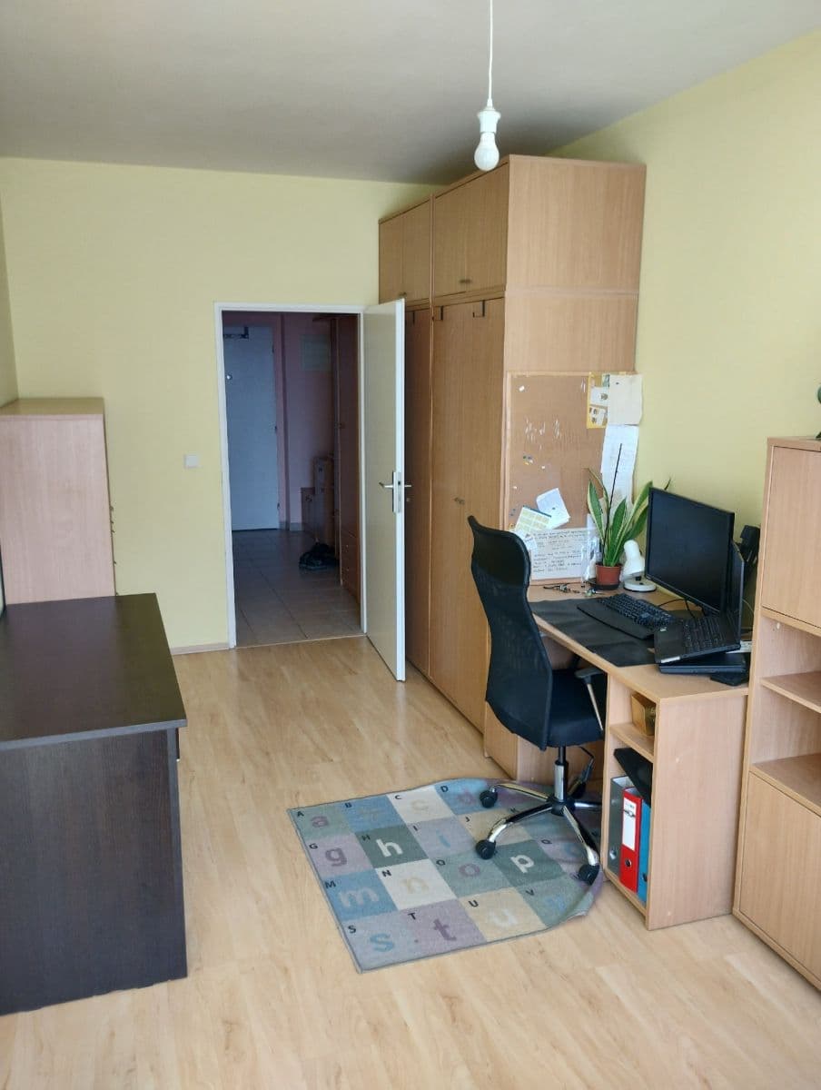 1 bedroom with open-plan kitchen flat to rent, 53 m², U Louky, Prague, Prague 1 bedroom with open-plan kitchen flat to rent, 53 m², U Louky, Prague, Prague