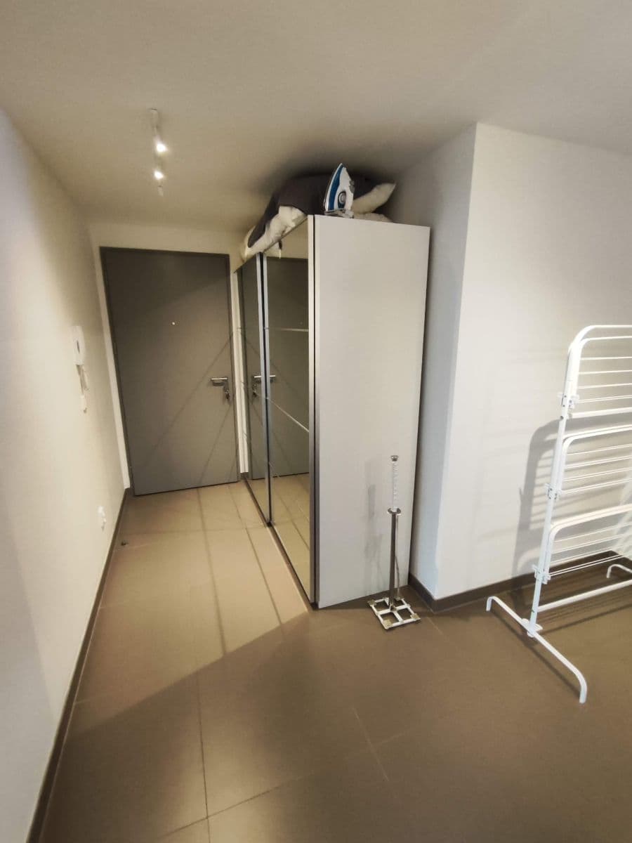 1 bedroom with open-plan kitchen flat to rent, 56 m², Hartigova, Prague, Prague 1 bedroom with open-plan kitchen flat to rent, 56 m², Hartigova, Prague, Prague