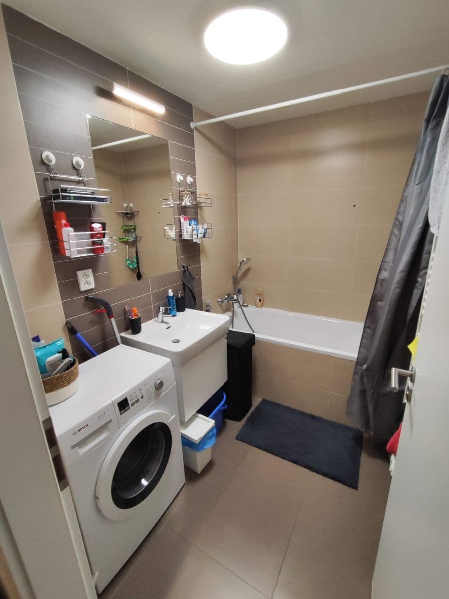 1 bedroom with open-plan kitchen flat to rent, 56 m², Hartigova, Prague, Prague 1 bedroom with open-plan kitchen flat to rent, 56 m², Hartigova, Prague, Prague