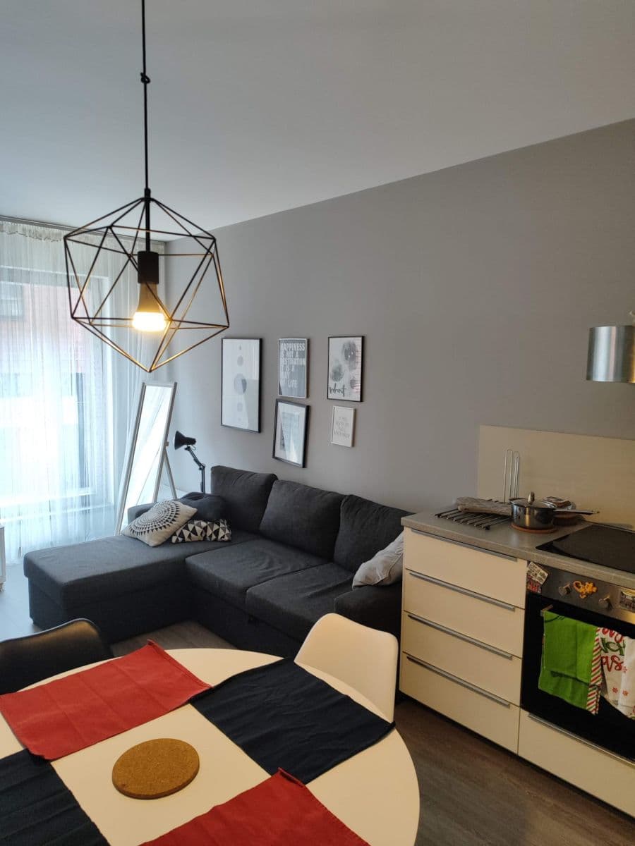 1 bedroom with open-plan kitchen flat to rent, 56 m², Hartigova, Prague, Prague 1 bedroom with open-plan kitchen flat to rent, 56 m², Hartigova, Prague, Prague