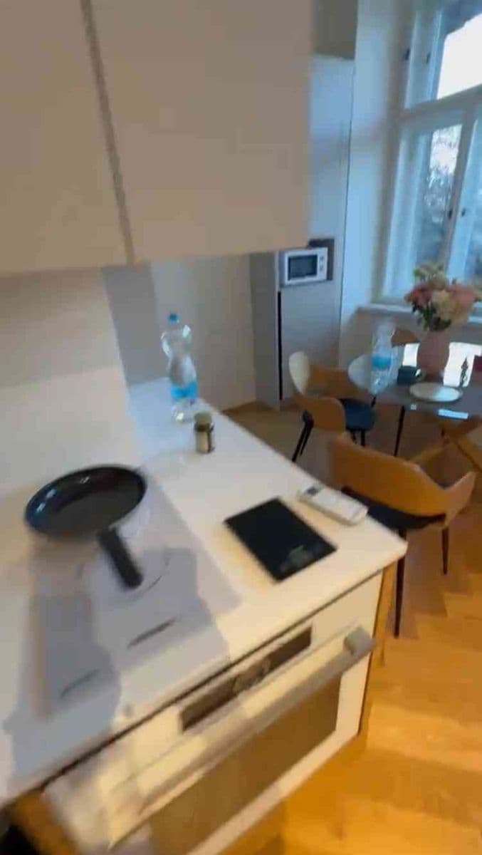 1 bedroom with open-plan kitchen flat to rent, 56 m², Na Bělidle, Prague, Prague 1 bedroom with open-plan kitchen flat to rent, 56 m², Na Bělidle, Prague, Prague