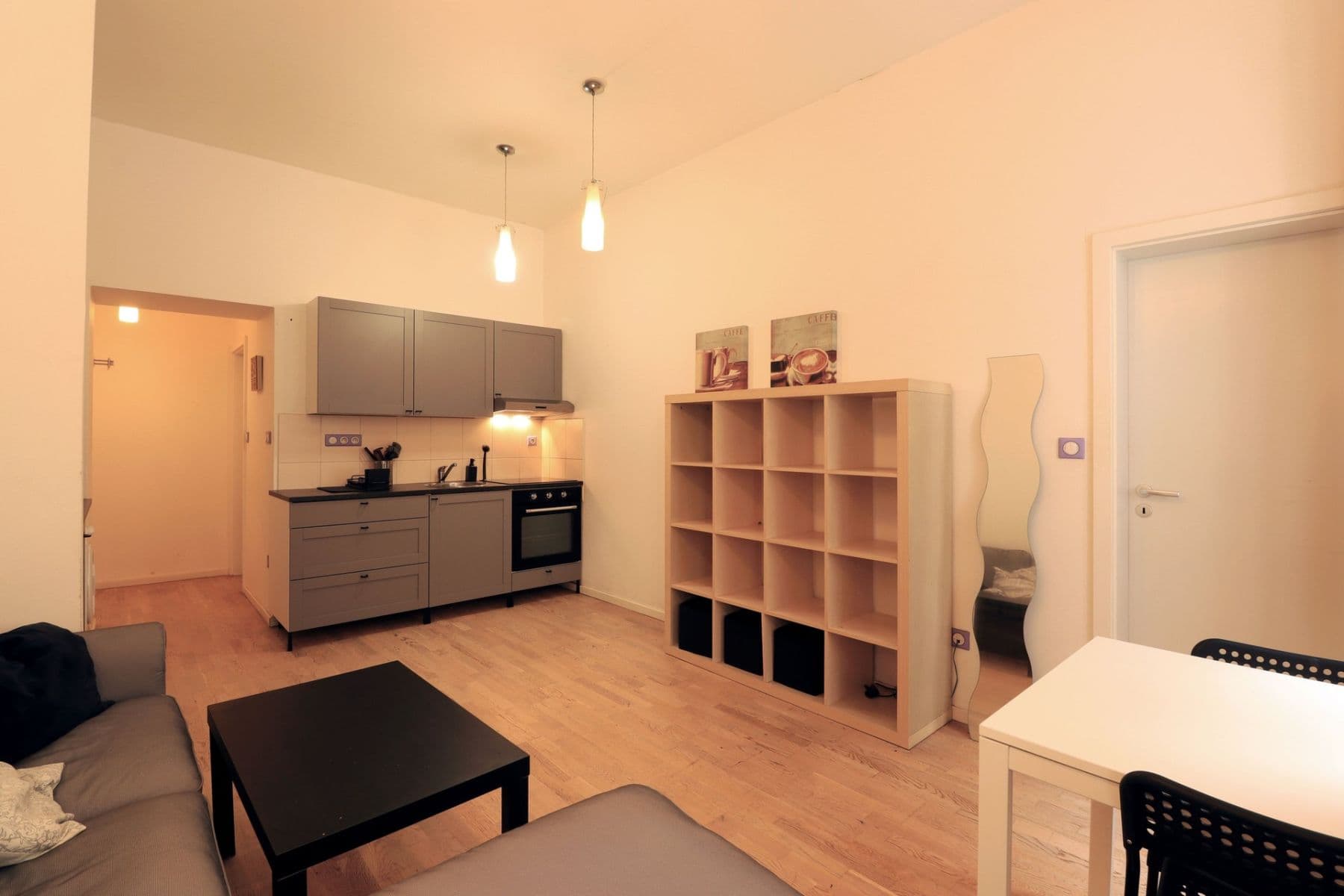 1 bedroom with open-plan kitchen flat to rent, 44 m², Bořivojova, Prague, Prague 1 bedroom with open-plan kitchen flat to rent, 44 m², Bořivojova, Prague, Prague