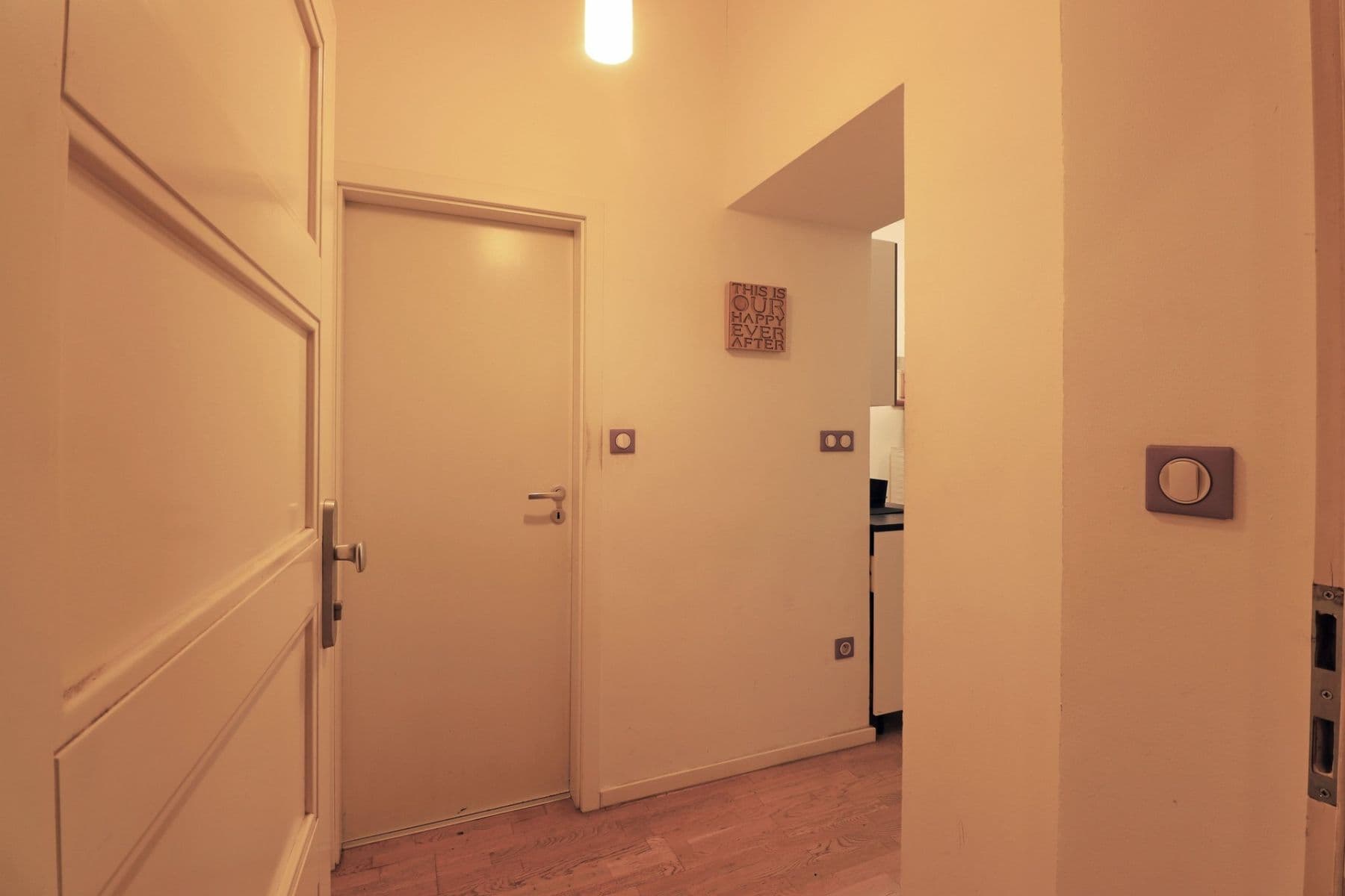 1 bedroom with open-plan kitchen flat to rent, 44 m², Bořivojova, Prague, Prague 1 bedroom with open-plan kitchen flat to rent, 44 m², Bořivojova, Prague, Prague