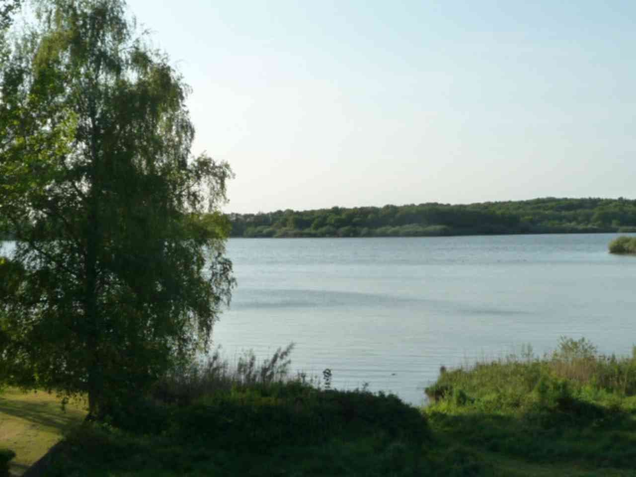 house for sale, 260 m², Neumünster, Schleswig-Holstein house for sale, 260 m², Neumünster, Schleswig-Holstein