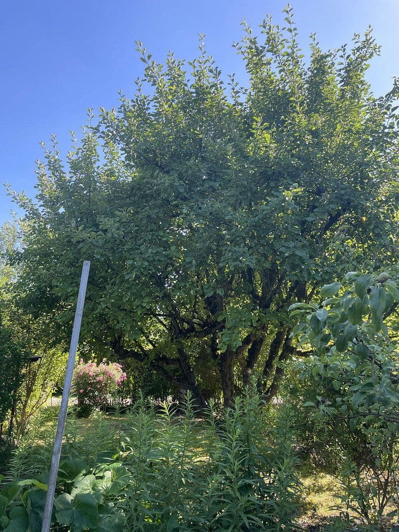 plot for sale, 400 m², Waldhornstraße 104, München, Bavaria plot for sale, 400 m², Waldhornstraße 104, München, Bavaria