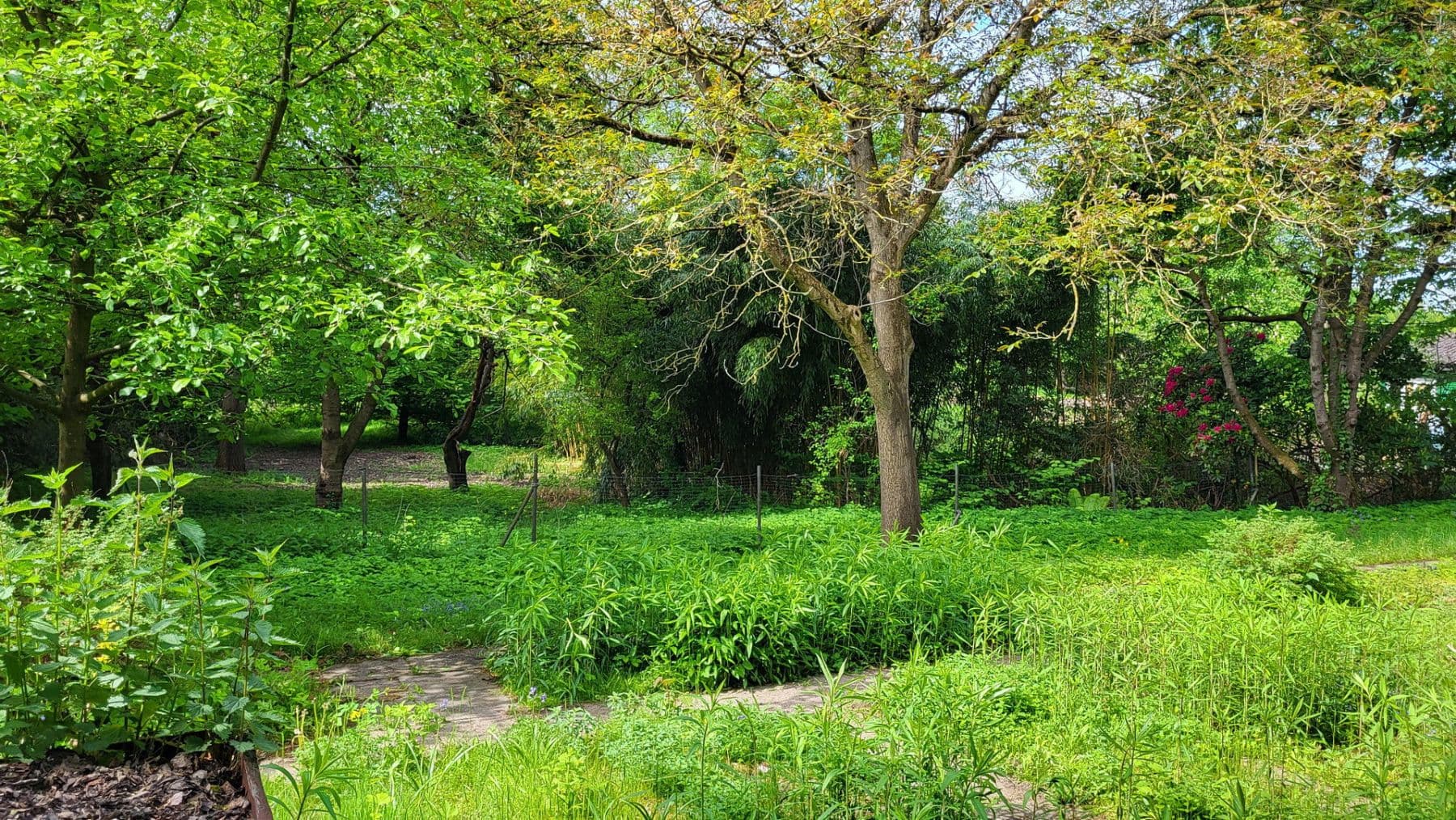 plot for sale, 550 m², Buxtehuder Straße 3, Moisburg, Lower Saxony plot for sale, 550 m², Buxtehuder Straße 3, Moisburg, Lower Saxony