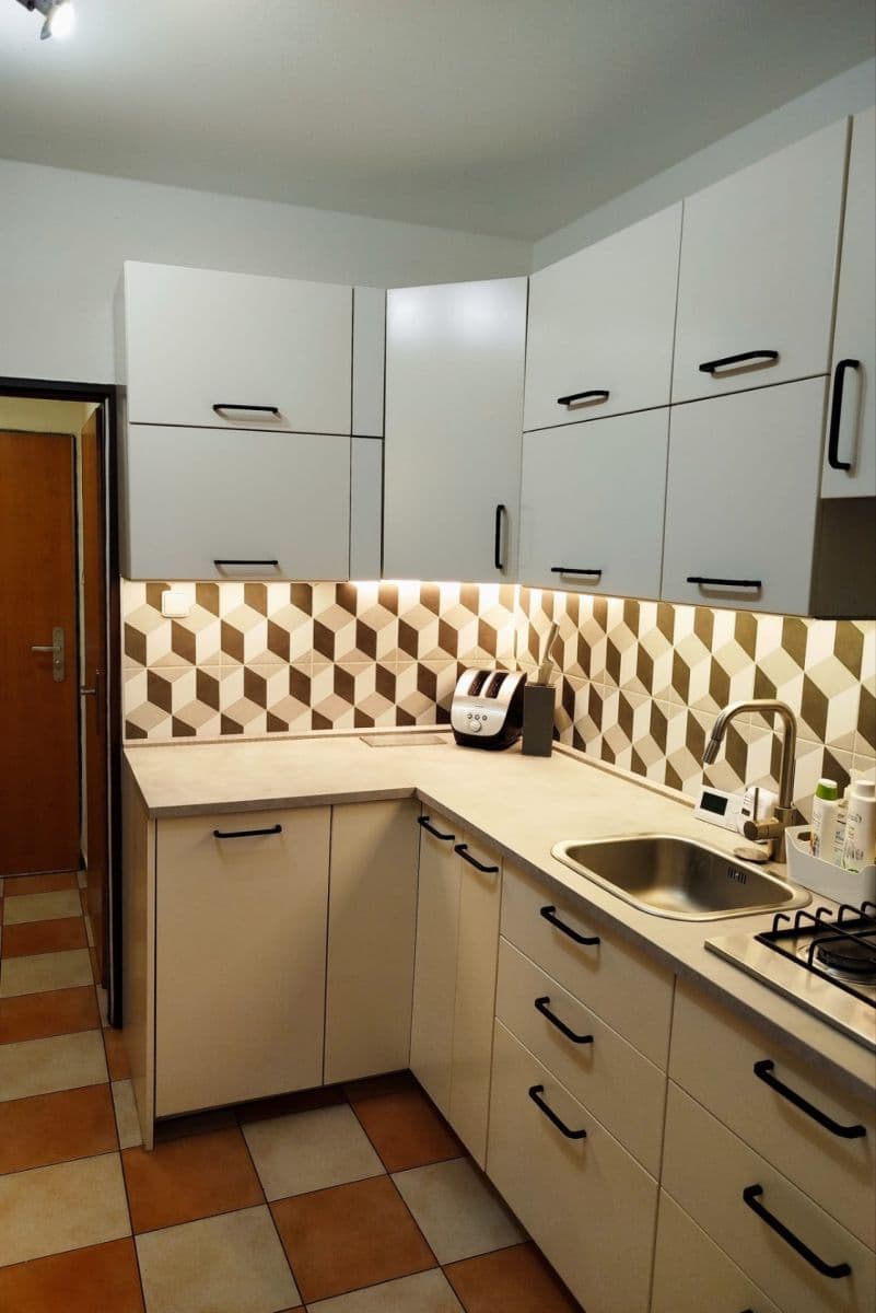 2 bedroom with open-plan kitchen flat to rent, 65 m², Za Mosty, Prague, Prague 2 bedroom with open-plan kitchen flat to rent, 65 m², Za Mosty, Prague, Prague