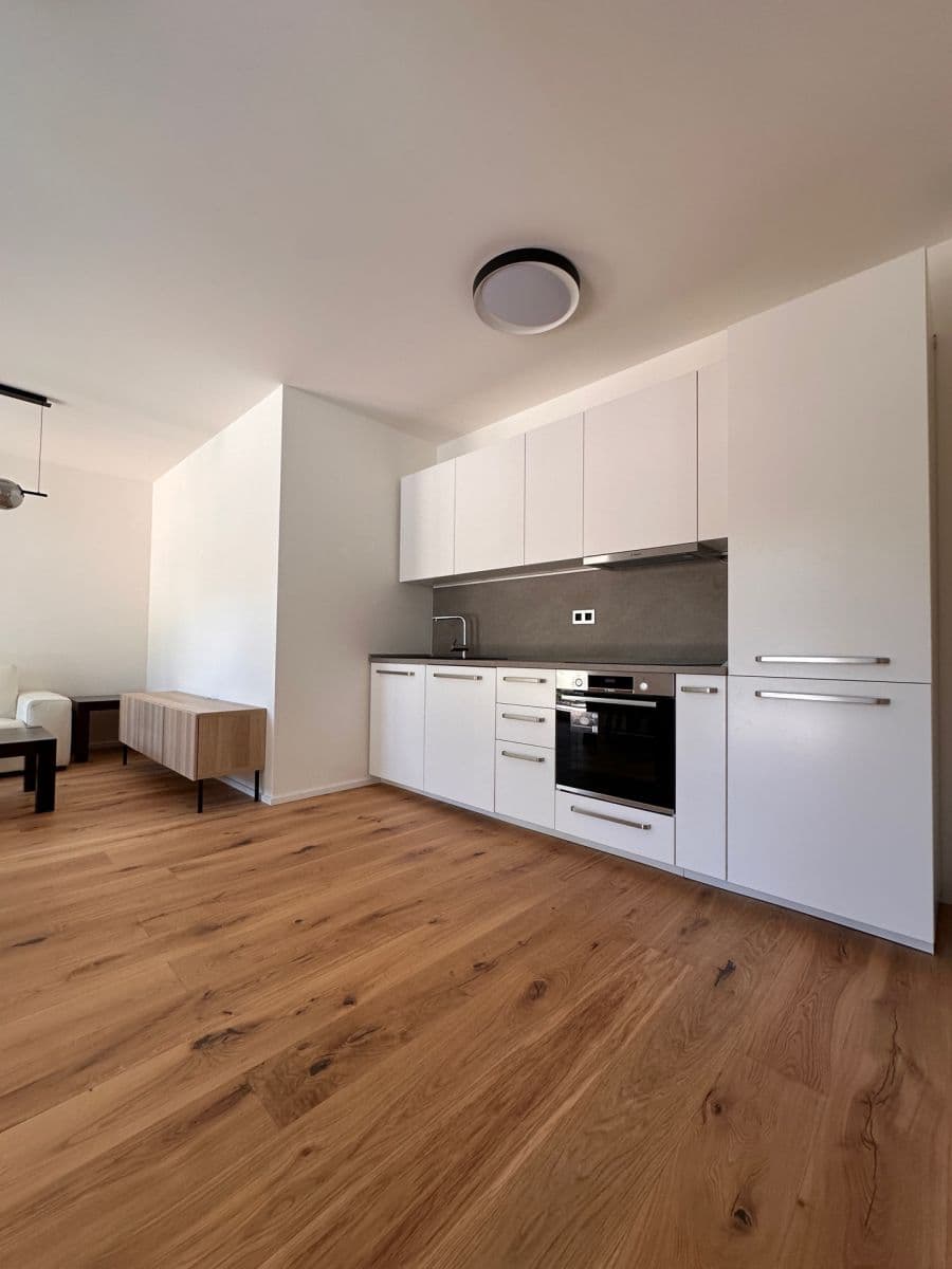 1 bedroom with open-plan kitchen flat to rent, 52 m², U Komína, Prague, Prague 1 bedroom with open-plan kitchen flat to rent, 52 m², U Komína, Prague, Prague