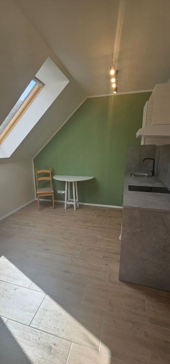 1 bedroom with open-plan kitchen flat to rent, 45 m², Na Cikánce, Prague, Prague 1 bedroom with open-plan kitchen flat to rent, 45 m², Na Cikánce, Prague, Prague
