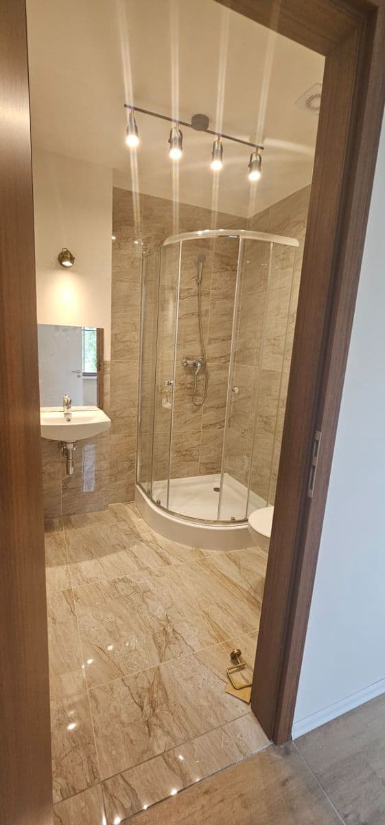 1 bedroom with open-plan kitchen flat to rent, 45 m², Na Cikánce, Prague, Prague 1 bedroom with open-plan kitchen flat to rent, 45 m², Na Cikánce, Prague, Prague