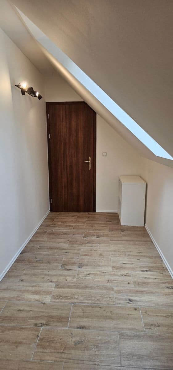 1 bedroom with open-plan kitchen flat to rent, 45 m², Na Cikánce, Prague, Prague 1 bedroom with open-plan kitchen flat to rent, 45 m², Na Cikánce, Prague, Prague