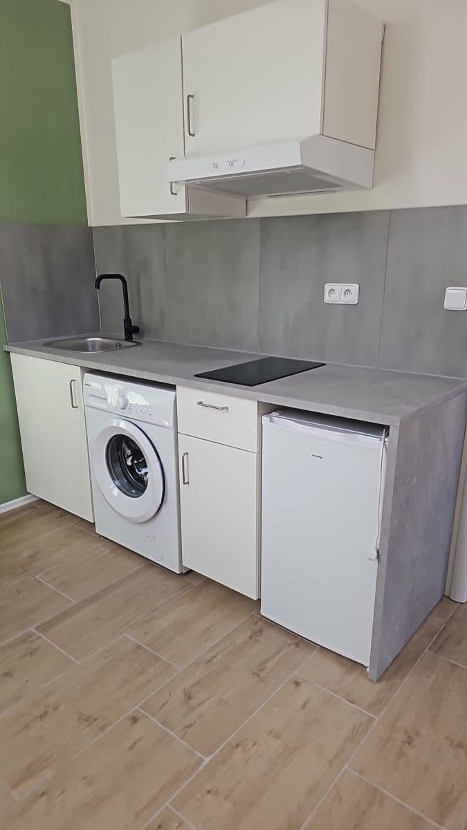 1 bedroom with open-plan kitchen flat to rent, 46 m², Na Cikánce, Prague, Prague 1 bedroom with open-plan kitchen flat to rent, 46 m², Na Cikánce, Prague, Prague