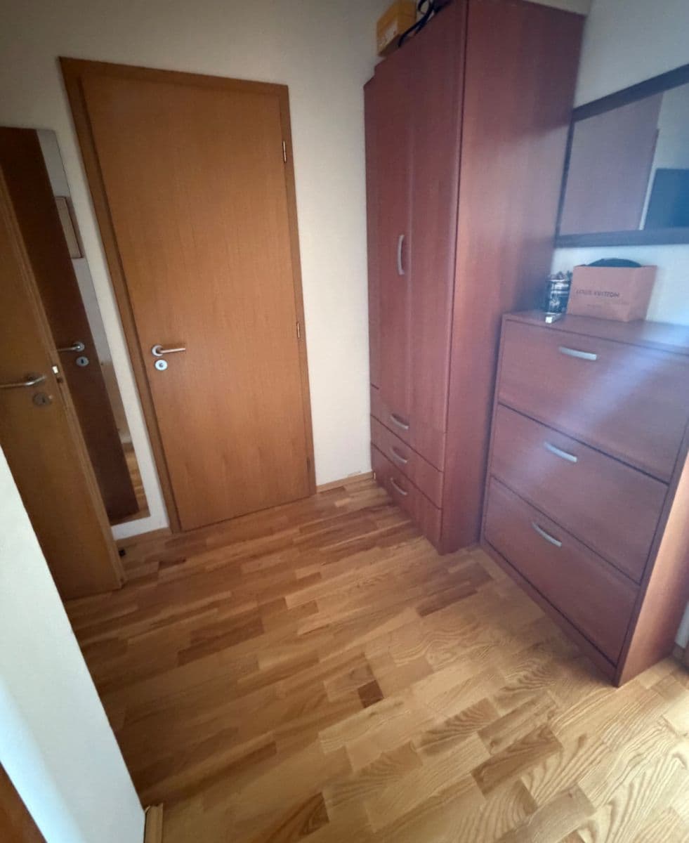 1 bedroom with open-plan kitchen flat to rent, 56 m², Na Vysočanských vinicích, Prague, Prague 1 bedroom with open-plan kitchen flat to rent, 56 m², Na Vysočanských vinicích, Prague, Prague