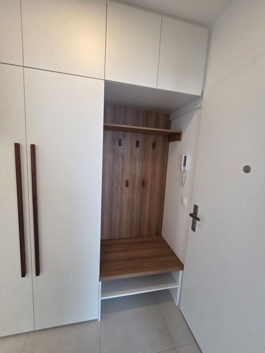 1 bedroom with open-plan kitchen flat to rent, 57 m², Pod Krocínkou, Prague, Prague 1 bedroom with open-plan kitchen flat to rent, 57 m², Pod Krocínkou, Prague, Prague
