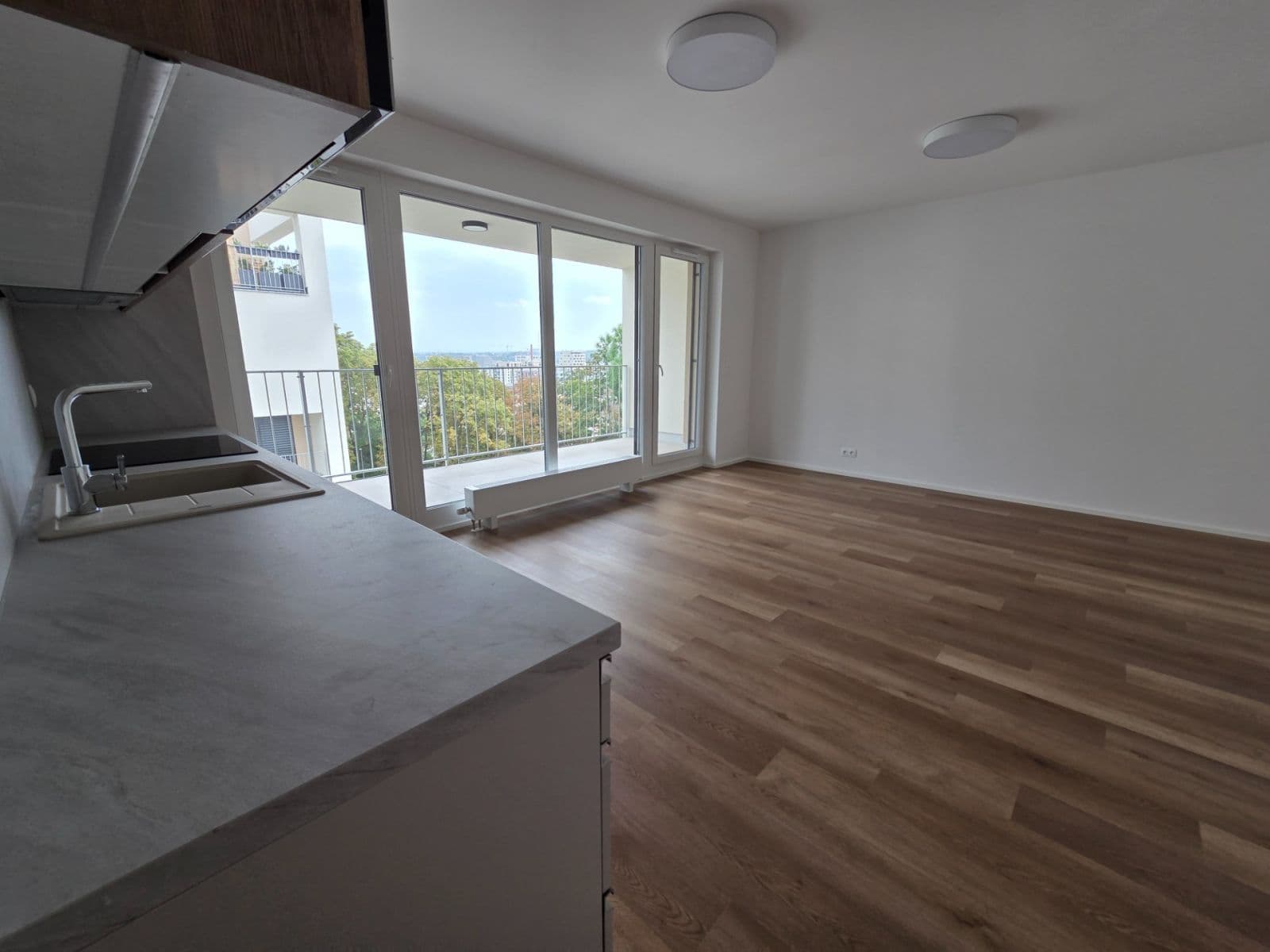 1 bedroom with open-plan kitchen flat to rent, 57 m², Pod Krocínkou, Prague, Prague 1 bedroom with open-plan kitchen flat to rent, 57 m², Pod Krocínkou, Prague, Prague