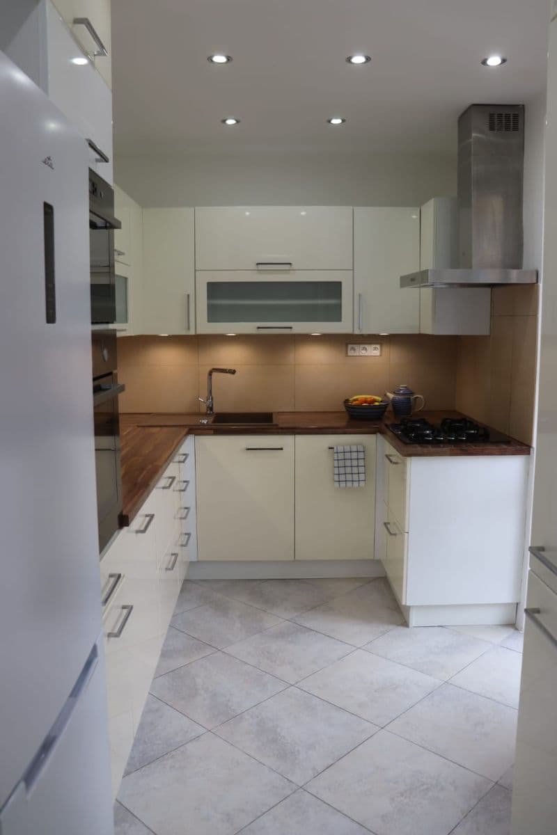 1 bedroom with open-plan kitchen flat to rent, 55 m², Na Chodovci, Prague, Prague 1 bedroom with open-plan kitchen flat to rent, 55 m², Na Chodovci, Prague, Prague