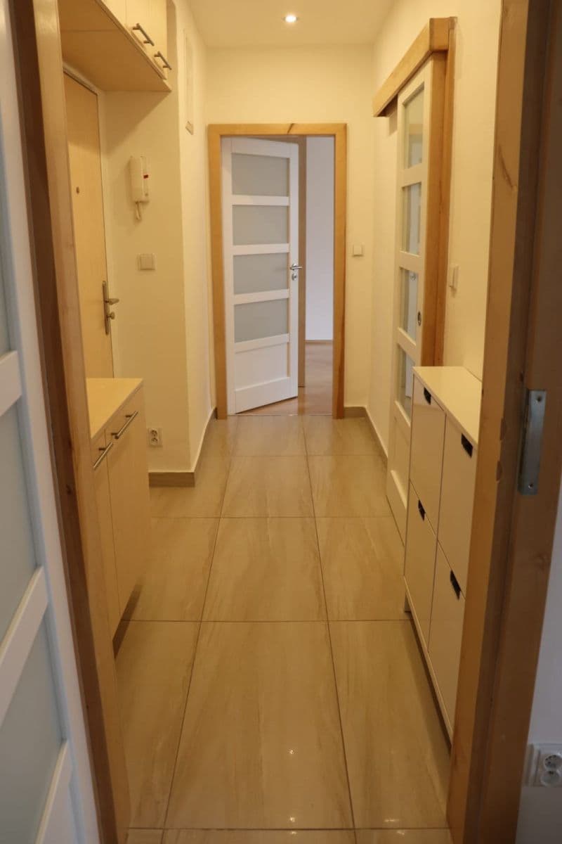 1 bedroom with open-plan kitchen flat to rent, 55 m², Na Chodovci, Prague, Prague 1 bedroom with open-plan kitchen flat to rent, 55 m², Na Chodovci, Prague, Prague