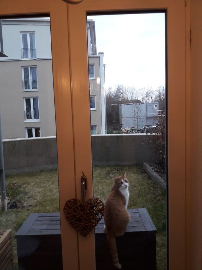 1 bedroom with open-plan kitchen flat to rent, 80 m², Hertha-Genzmer-Strasse 57, Wiesbaden, Hesse 1 bedroom with open-plan kitchen flat to rent, 80 m², Hertha-Genzmer-Strasse 57, Wiesbaden, Hesse