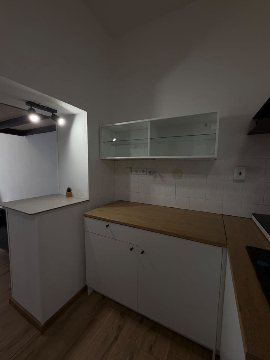 Studio flat to rent, 33 m², Sevastopolská, Prague, Prague Studio flat to rent, 33 m², Sevastopolská, Prague, Prague