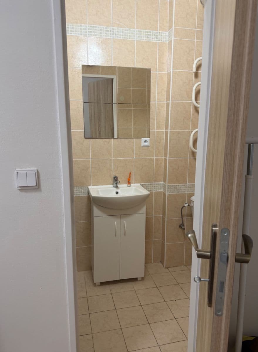 Studio flat to rent, 33 m², Sevastopolská, Prague, Prague Studio flat to rent, 33 m², Sevastopolská, Prague, Prague