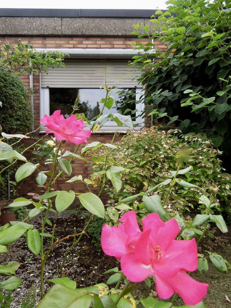 house for sale, 124 m², Marl, North Rhine-Westphalia house for sale, 124 m², Marl, North Rhine-Westphalia