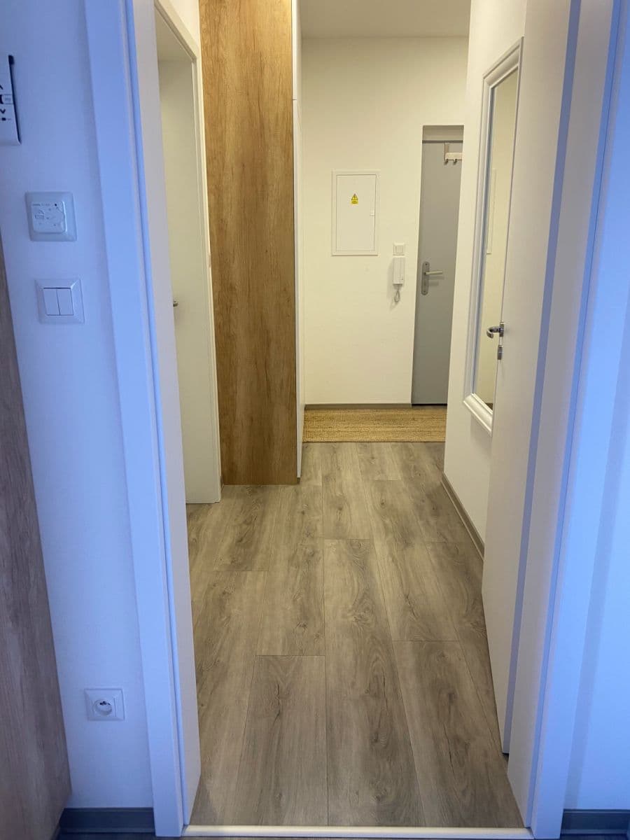 1 bedroom with open-plan kitchen flat for sale, 45 m², Za Dvorem, Velké Pavlovice, Jihomoravský Region 1 bedroom with open-plan kitchen flat for sale, 45 m², Za Dvorem, Velké Pavlovice, Jihomoravský Region