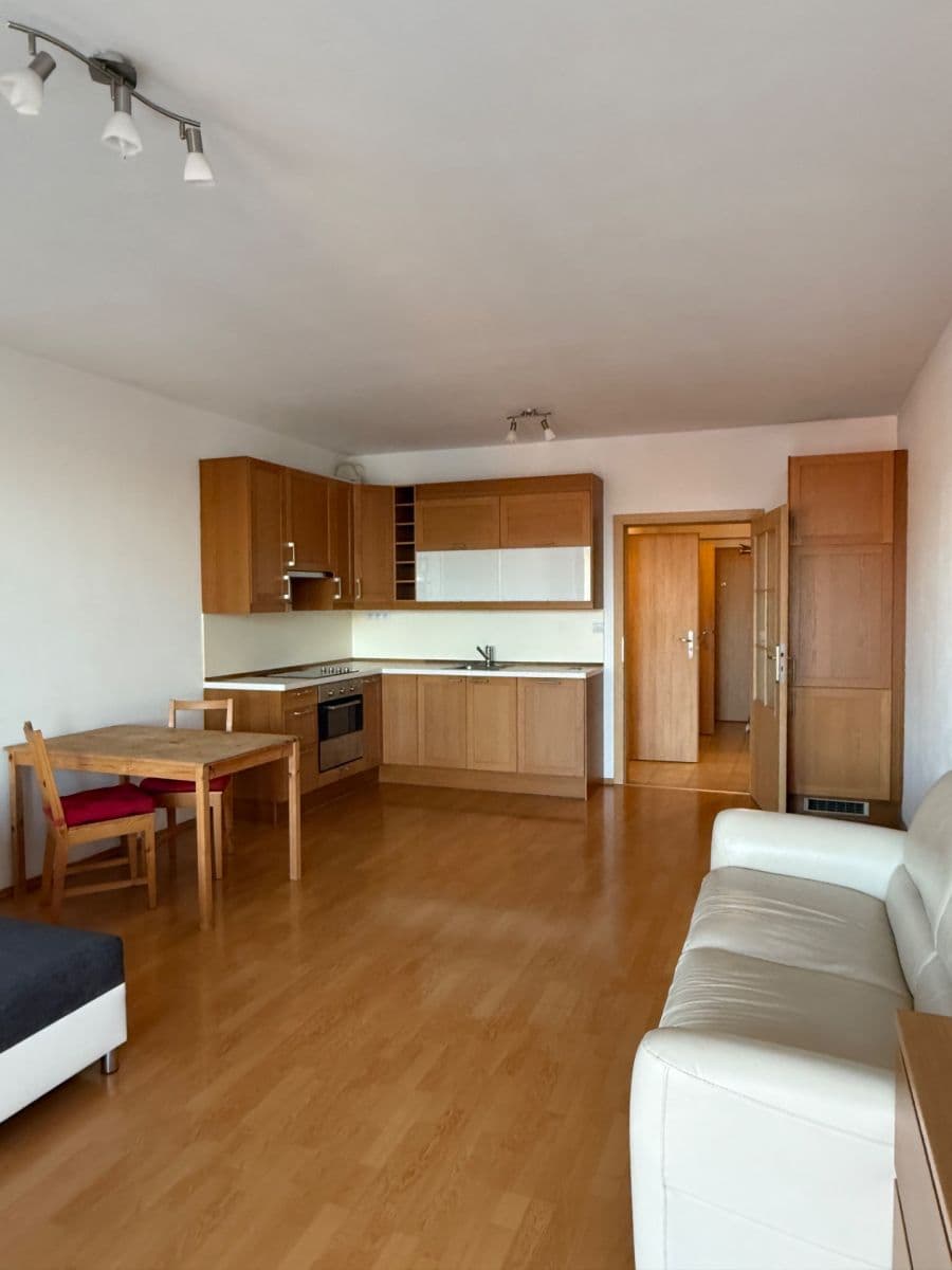 Studio flat to rent, 45 m², Panuškova, Prague, Prague Studio flat to rent, 45 m², Panuškova, Prague, Prague