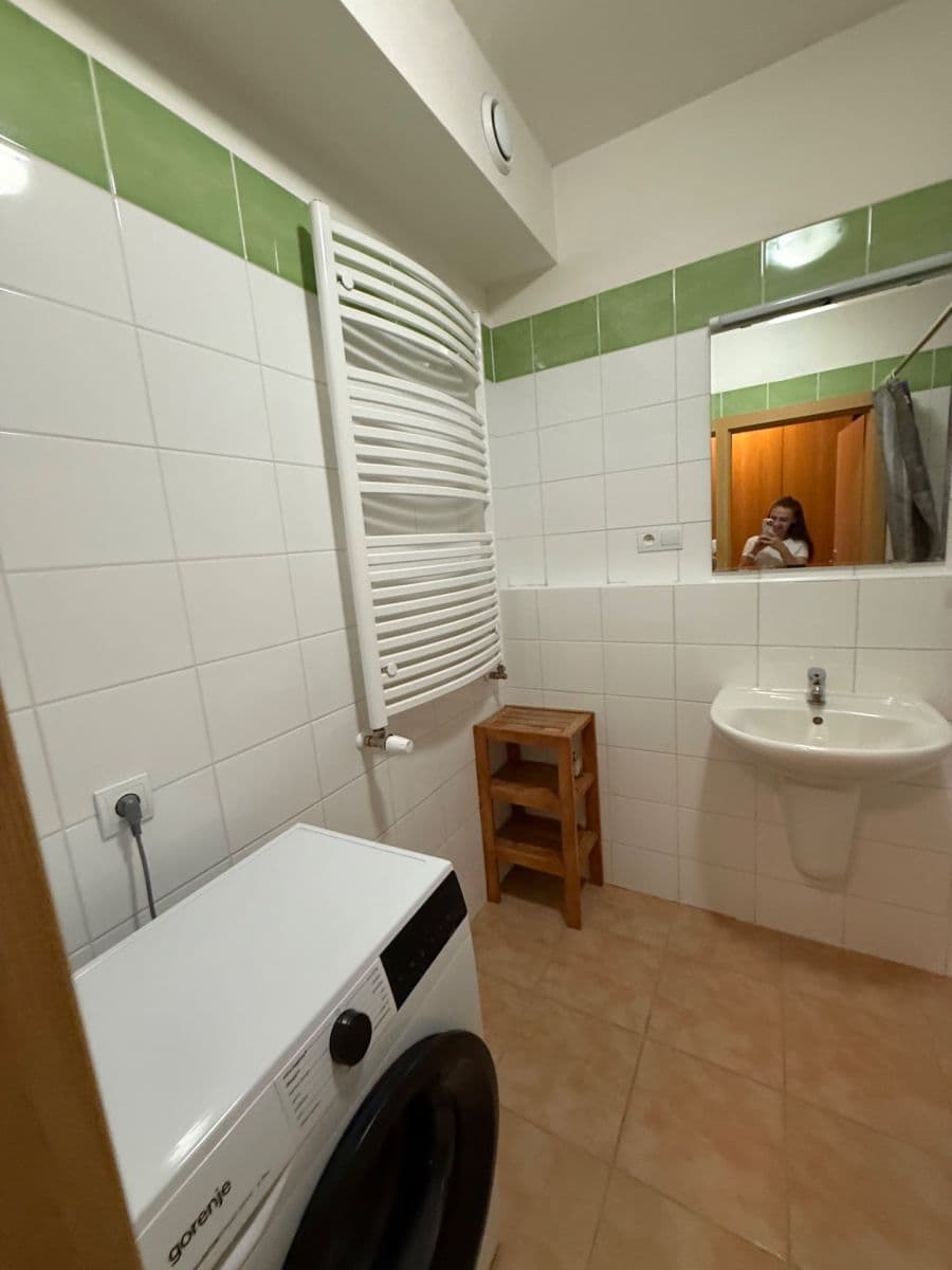 Studio flat to rent, 45 m², Panuškova, Prague, Prague Studio flat to rent, 45 m², Panuškova, Prague, Prague