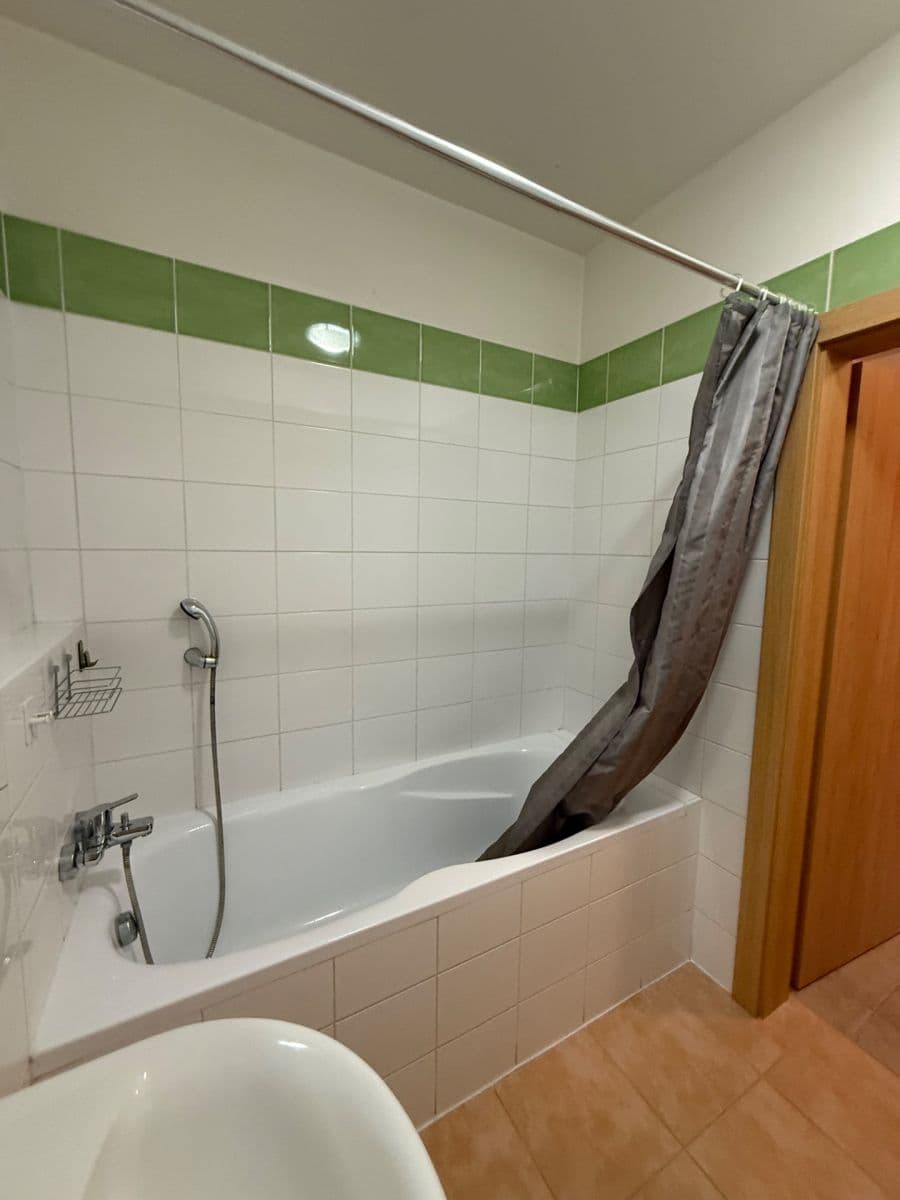 Studio flat to rent, 45 m², Panuškova, Prague, Prague Studio flat to rent, 45 m², Panuškova, Prague, Prague