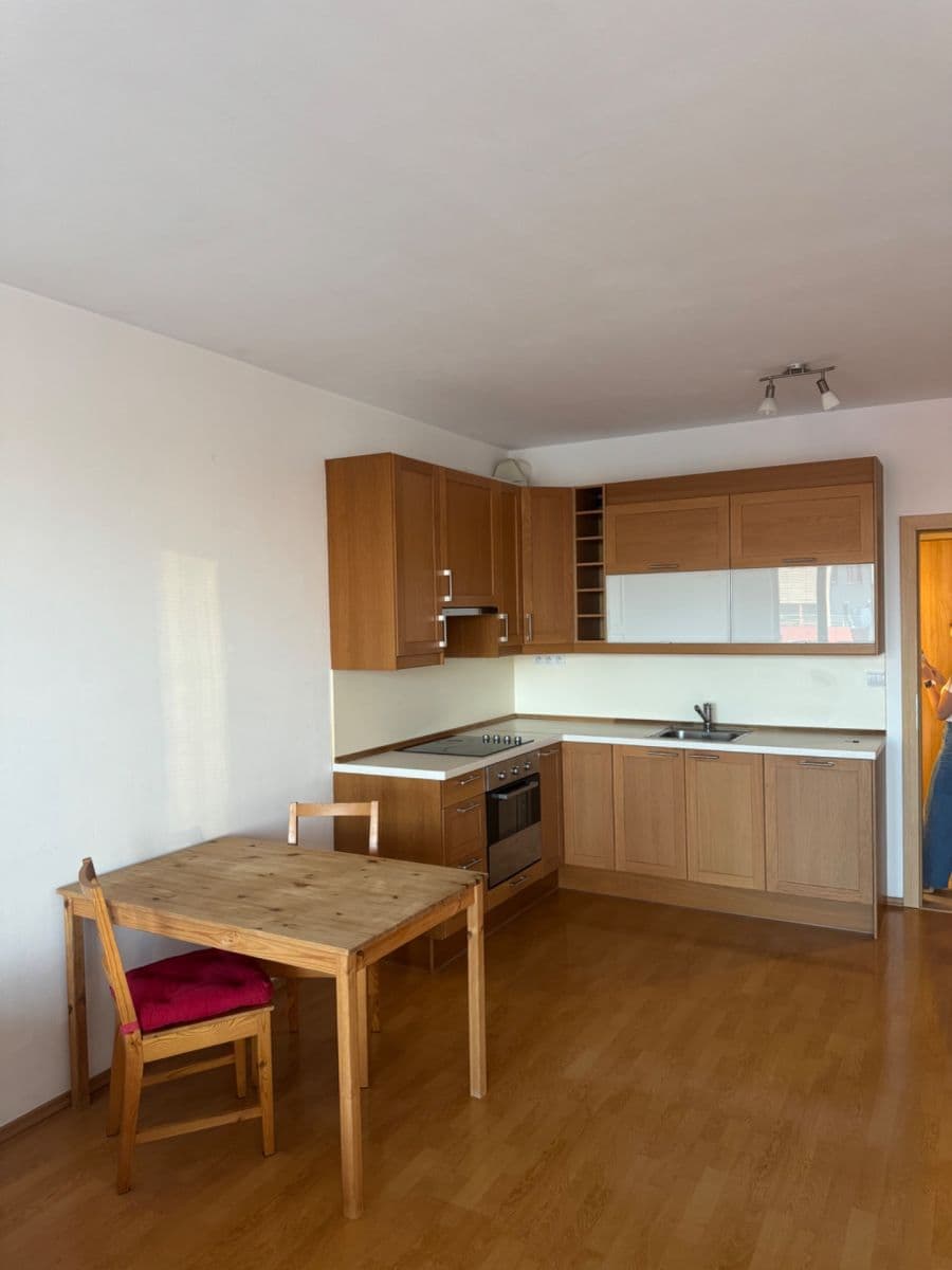 Studio flat to rent, 45 m², Panuškova, Prague, Prague Studio flat to rent, 45 m², Panuškova, Prague, Prague