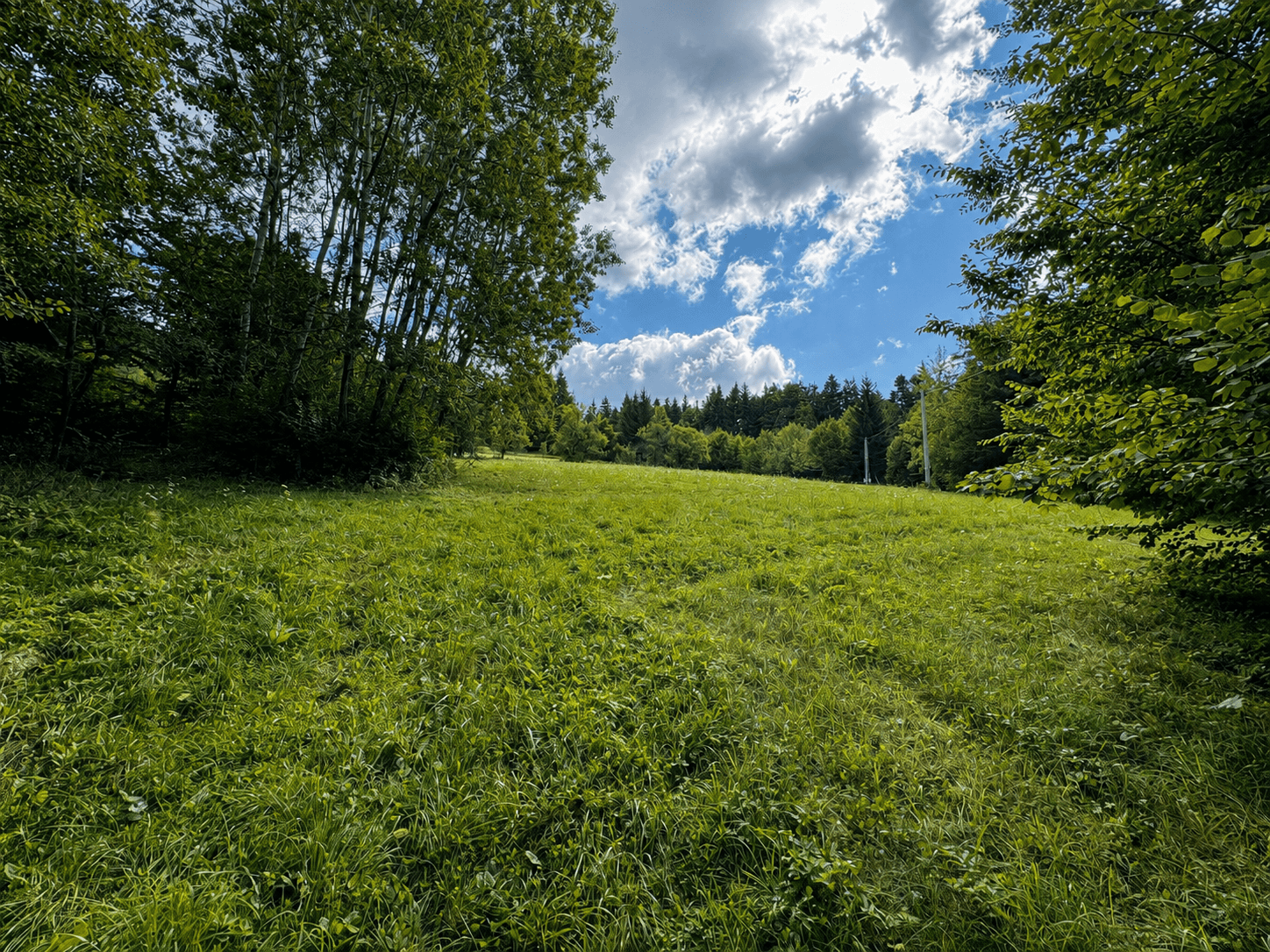 recreational property for sale, 4,016 m², Pozděchov, Zlínský Region recreational property for sale, 4,016 m², Pozděchov, Zlínský Region