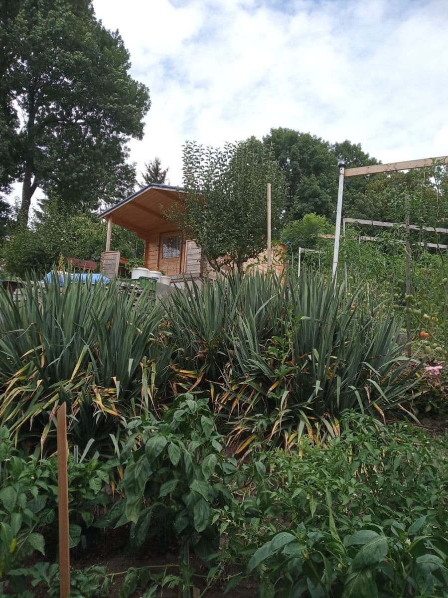 plot for sale, 290 m², Na Chvalce, Prague, Prague plot for sale, 290 m², Na Chvalce, Prague, Prague