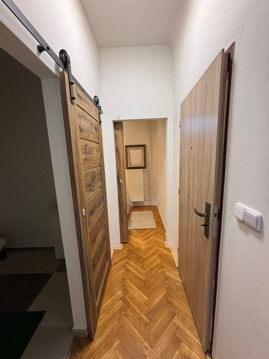 1 bedroom with open-plan kitchen flat to rent, 62 m², Čejkova, Brno, Jihomoravský Region 1 bedroom with open-plan kitchen flat to rent, 62 m², Čejkova, Brno, Jihomoravský Region