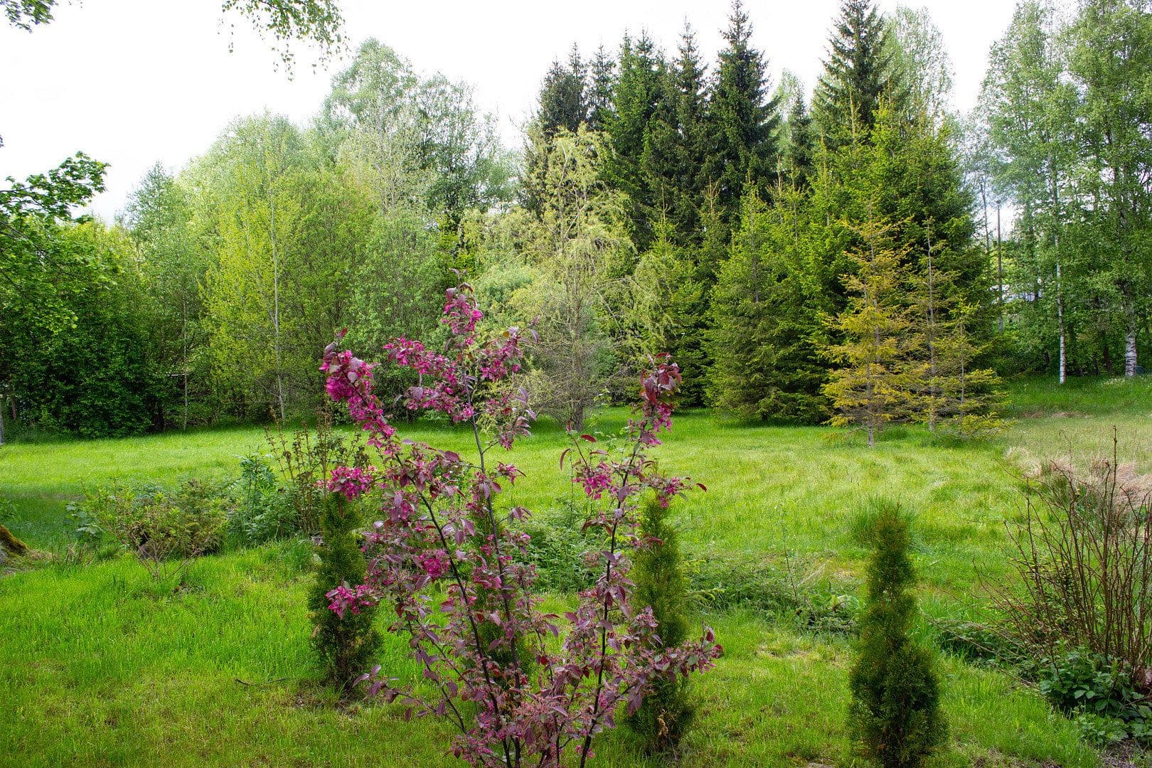 house for sale, 110 m², Muldenhammer, Saxony house for sale, 110 m², Muldenhammer, Saxony