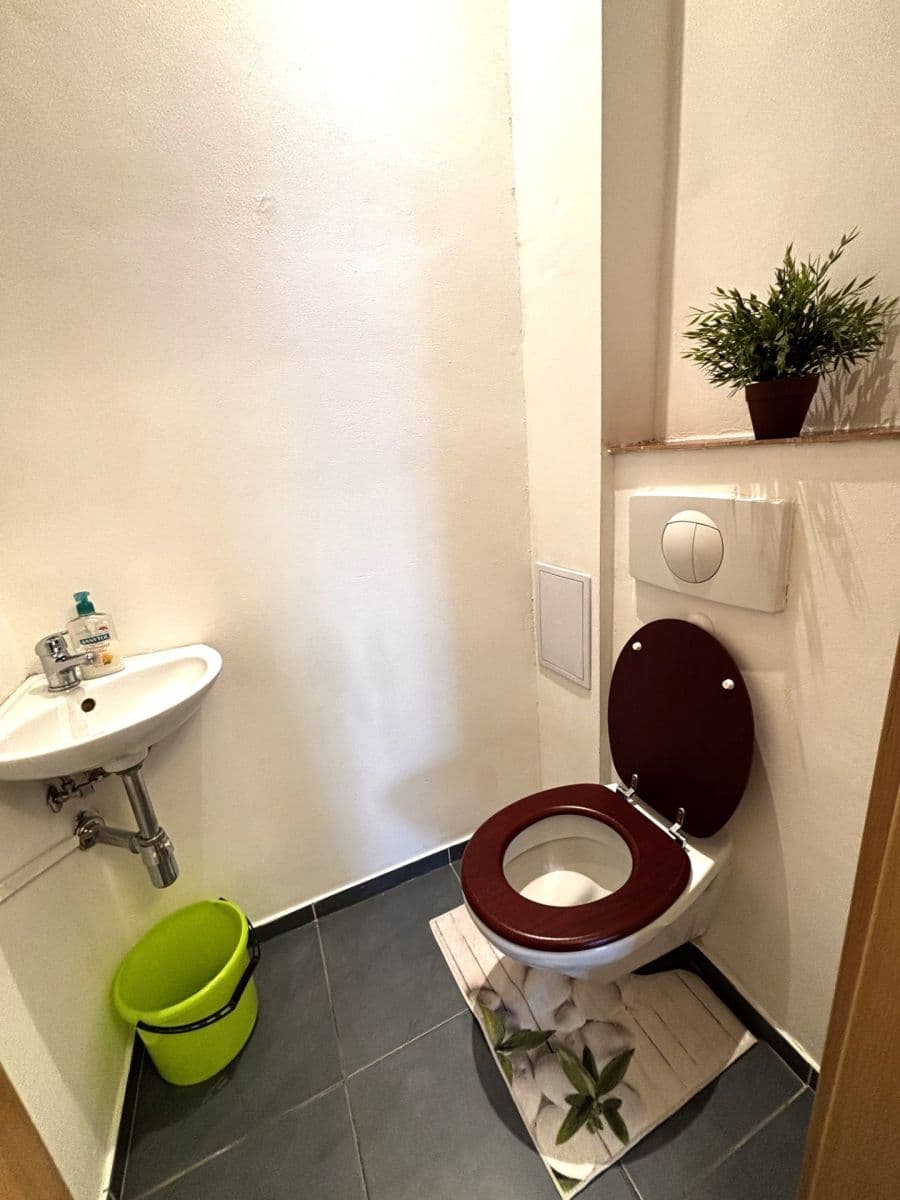 1 bedroom with open-plan kitchen flat to rent, 43 m², Tolstého, Prague, Prague 1 bedroom with open-plan kitchen flat to rent, 43 m², Tolstého, Prague, Prague
