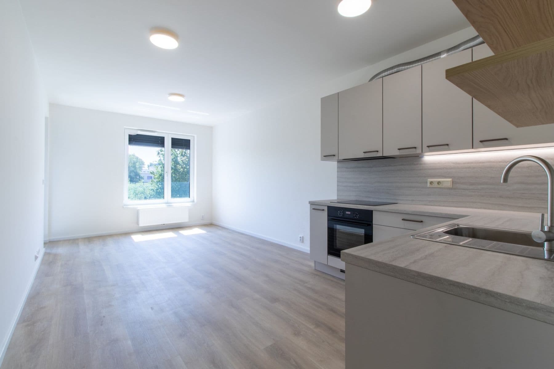1 bedroom with open-plan kitchen flat to rent, 50 m², Divíškové, Prague, Prague 1 bedroom with open-plan kitchen flat to rent, 50 m², Divíškové, Prague, Prague