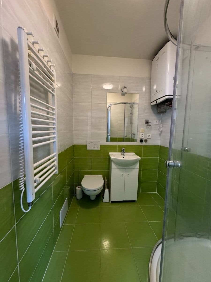1 bedroom with open-plan kitchen flat to rent, 35 m², Pivoňková, Prague, Prague 1 bedroom with open-plan kitchen flat to rent, 35 m², Pivoňková, Prague, Prague