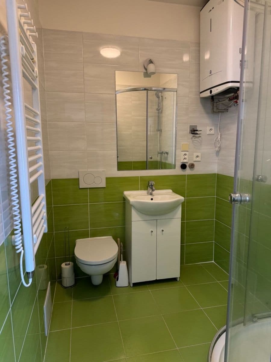 1 bedroom with open-plan kitchen flat to rent, 35 m², Pivoňková, Prague, Prague 1 bedroom with open-plan kitchen flat to rent, 35 m², Pivoňková, Prague, Prague