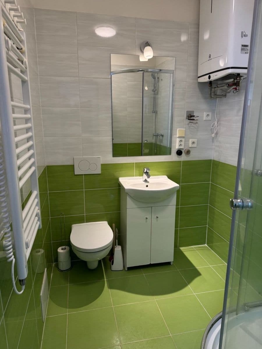 1 bedroom with open-plan kitchen flat to rent, 35 m², Pivoňková, Prague, Prague 1 bedroom with open-plan kitchen flat to rent, 35 m², Pivoňková, Prague, Prague