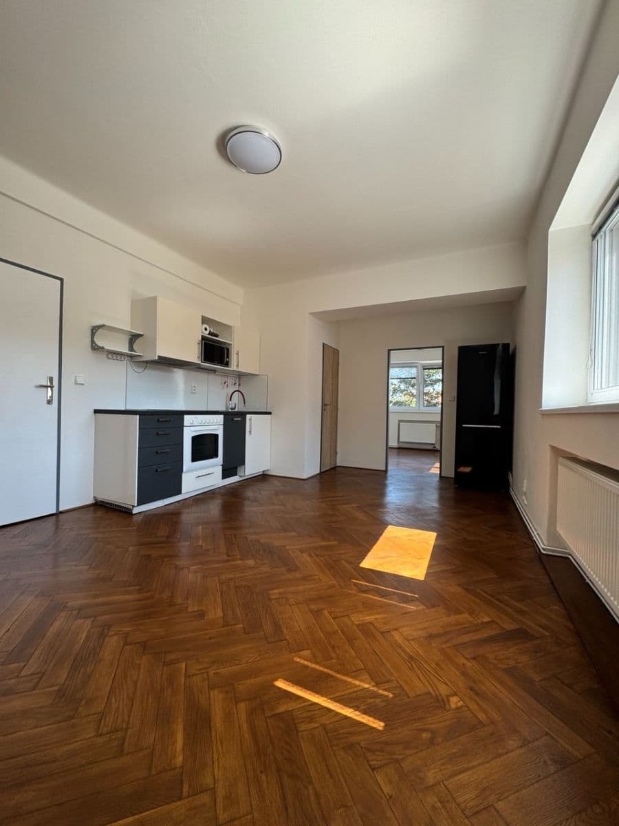 1 bedroom with open-plan kitchen flat to rent, 35 m², Pivoňková, Prague, Prague 1 bedroom with open-plan kitchen flat to rent, 35 m², Pivoňková, Prague, Prague