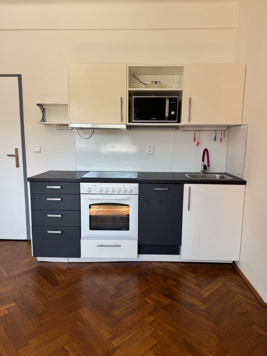 1 bedroom with open-plan kitchen flat to rent, 35 m², Pivoňková, Prague, Prague 1 bedroom with open-plan kitchen flat to rent, 35 m², Pivoňková, Prague, Prague