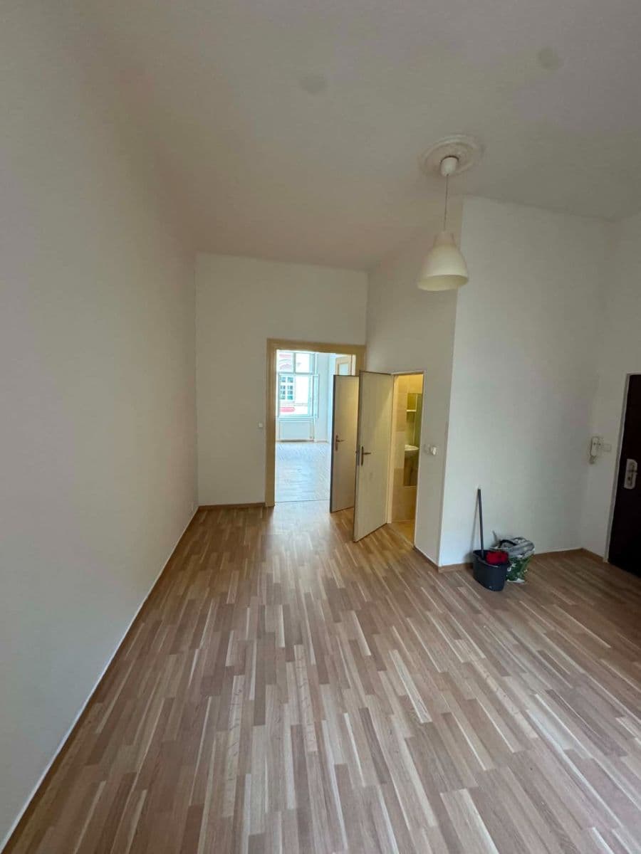 1 bedroom with open-plan kitchen flat to rent, 47 m², Bezručova, Plzeň, Plzeňský Region 1 bedroom with open-plan kitchen flat to rent, 47 m², Bezručova, Plzeň, Plzeňský Region