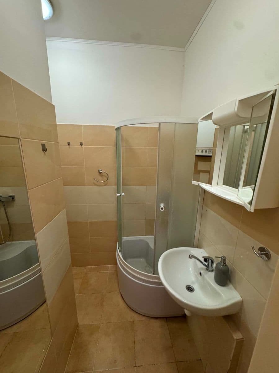 1 bedroom with open-plan kitchen flat to rent, 47 m², Bezručova, Plzeň, Plzeňský Region 1 bedroom with open-plan kitchen flat to rent, 47 m², Bezručova, Plzeň, Plzeňský Region