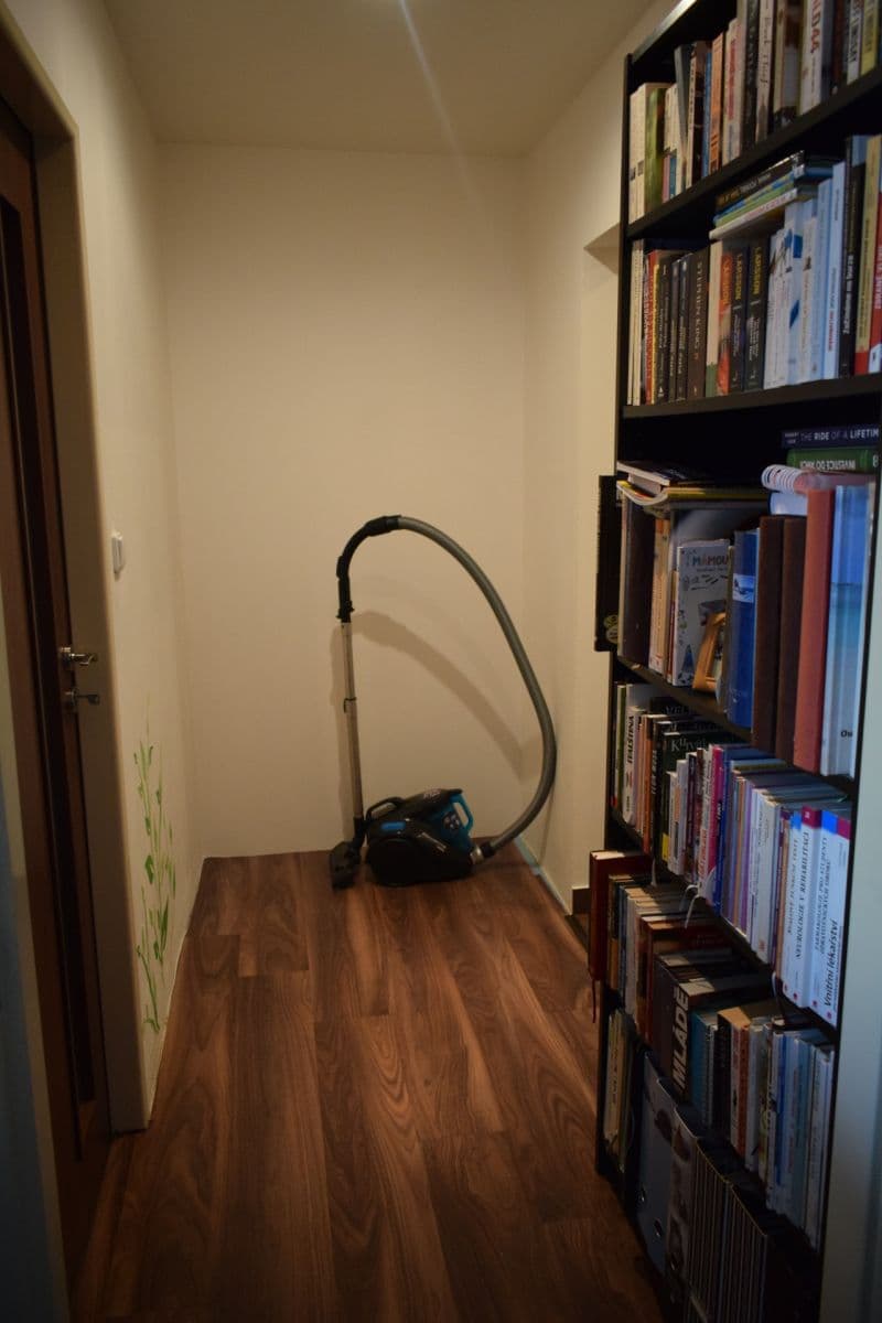 1 bedroom with open-plan kitchen flat to rent, 42 m², Ve Lhotce, Prague, Prague 1 bedroom with open-plan kitchen flat to rent, 42 m², Ve Lhotce, Prague, Prague