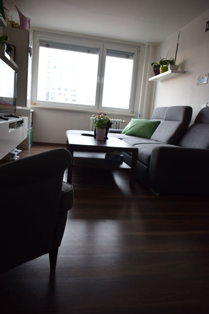 1 bedroom with open-plan kitchen flat to rent, 42 m², Ve Lhotce, Prague, Prague 1 bedroom with open-plan kitchen flat to rent, 42 m², Ve Lhotce, Prague, Prague