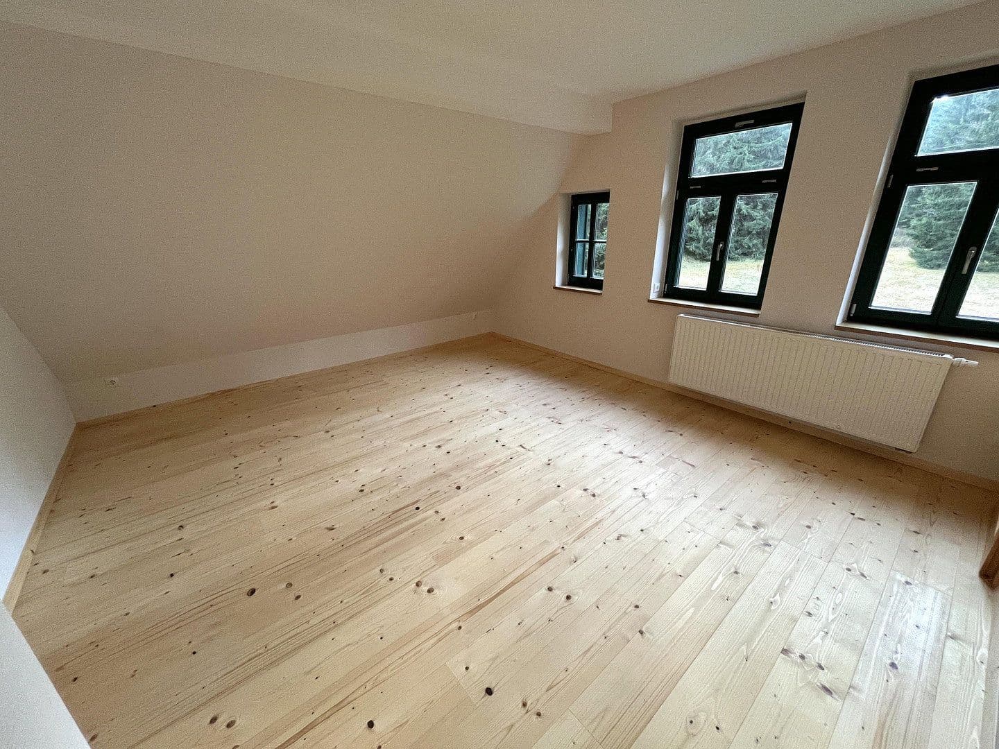 house for sale, 268 m², Eibenstock, Saxony house for sale, 268 m², Eibenstock, Saxony