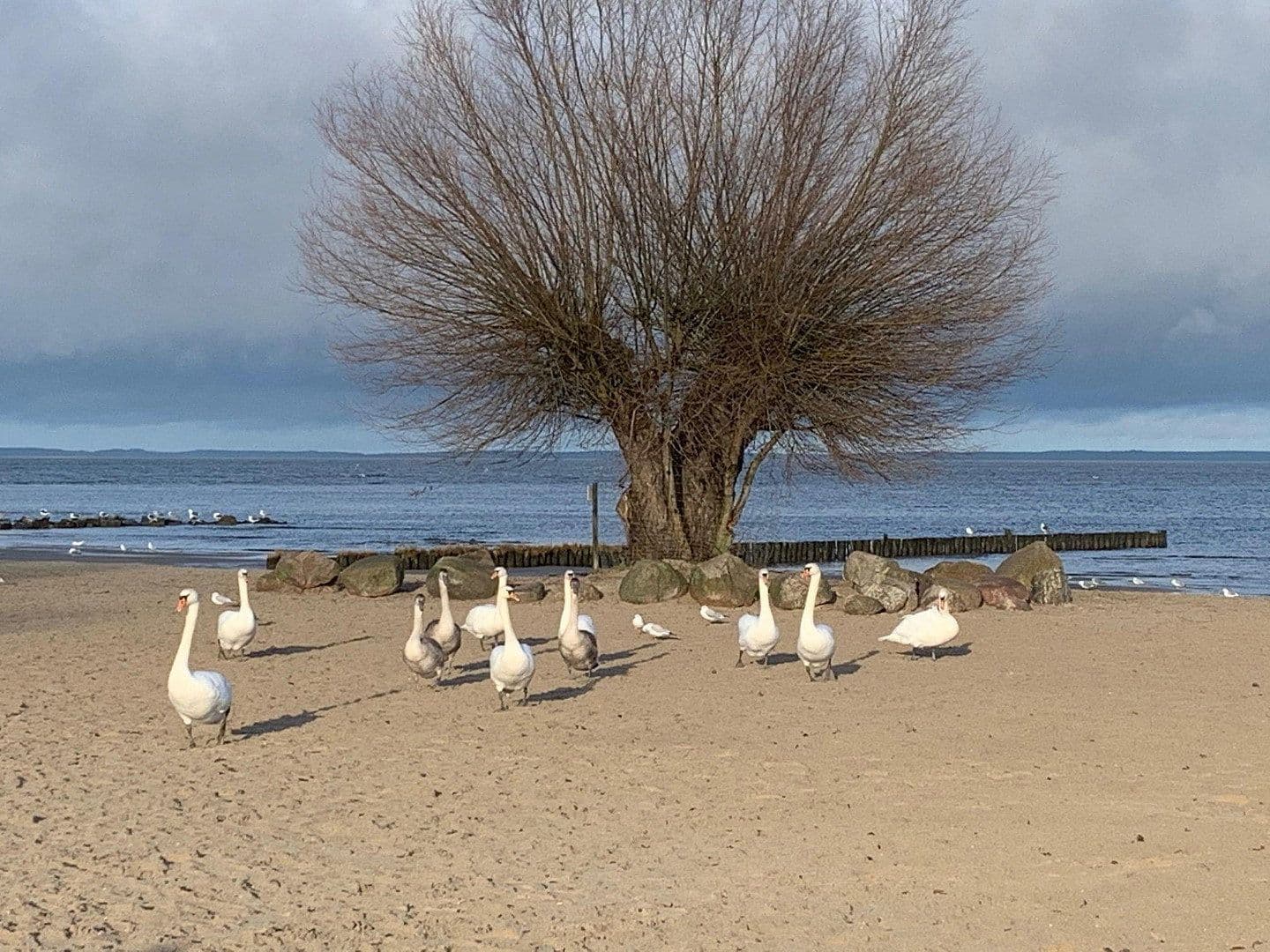 recreational property for sale, 10,000 m², Ahlbeck, Mecklenburg-Vorpommern recreational property for sale, 10,000 m², Ahlbeck, Mecklenburg-Vorpommern
