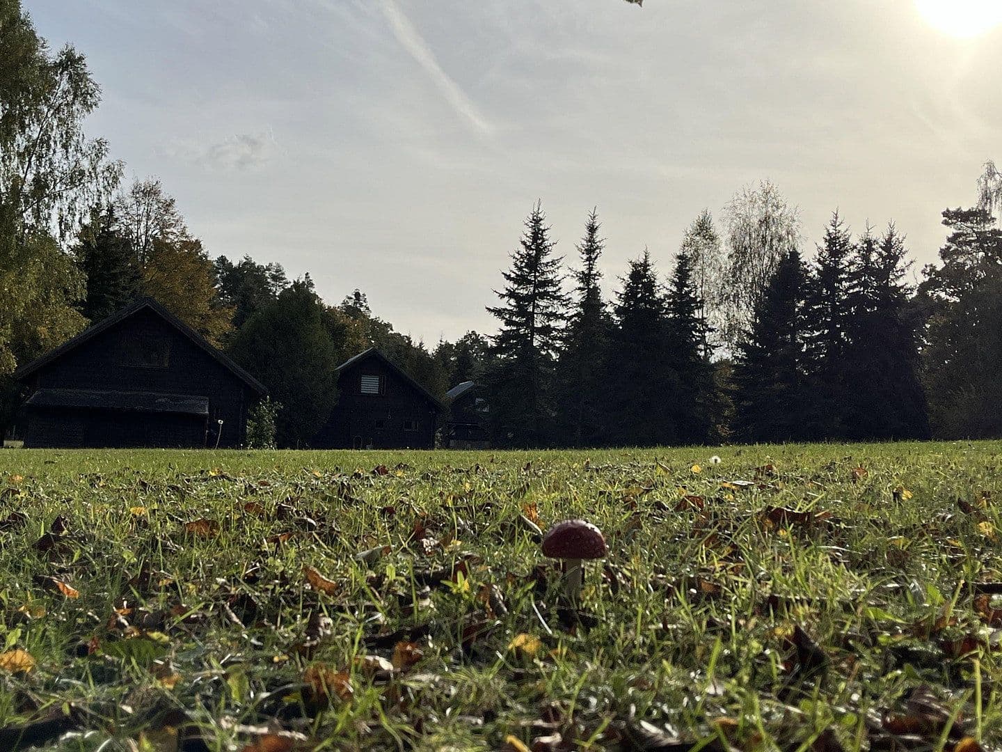 recreational property for sale, 10,000 m², Ahlbeck, Mecklenburg-Vorpommern recreational property for sale, 10,000 m², Ahlbeck, Mecklenburg-Vorpommern